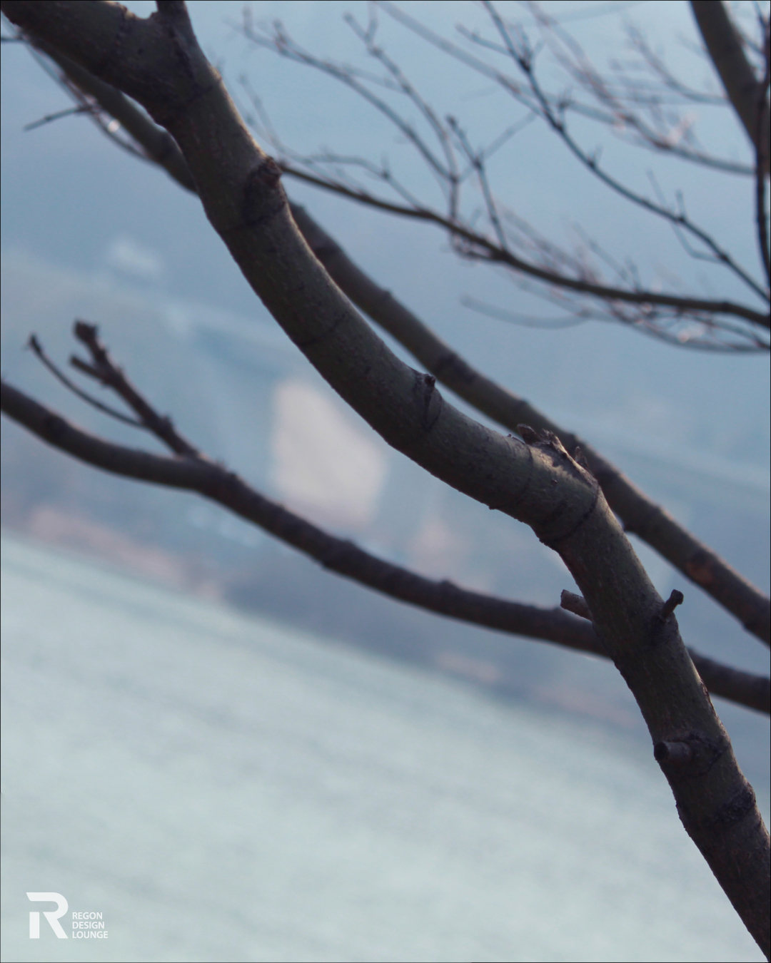 나무_1080-1350_A_10.jpg